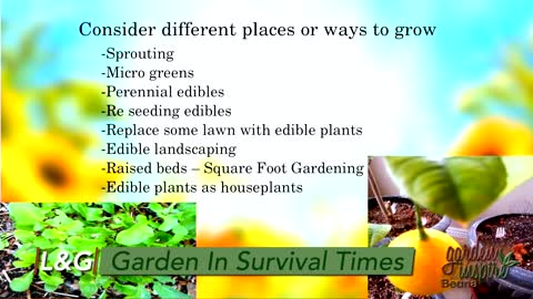 Gardening In Survival Times