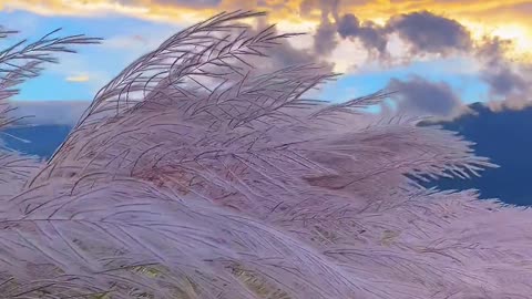Beautiful clouds