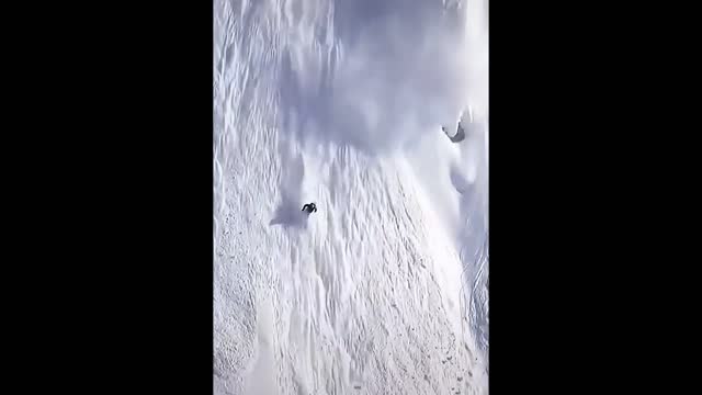 🏂 Amazing Freeride | extreme sport | short video 🏂