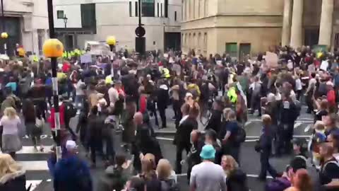 David Icke ~ Why We Need To Stop Complying ~ This Ends When We Gather In Great Numbers