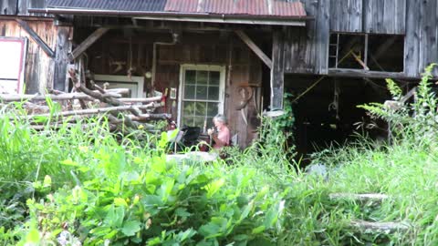 Fiddle lesson outside