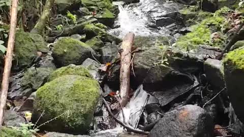 A Small Waterfall >> with mind relaxing sounds