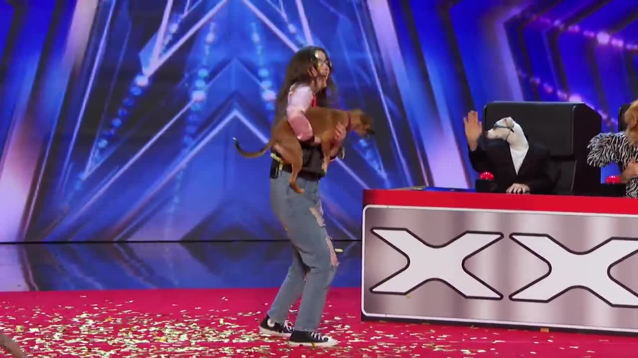 Incredible Dogs Hilariously Imitate The AGT Judges - America's Got Talent 2022