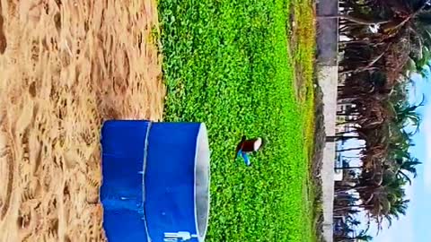 Nature clicks