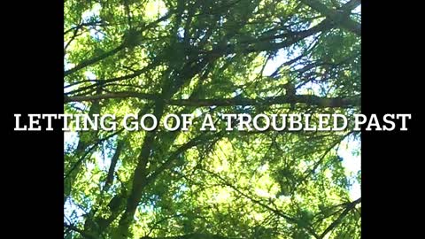 Forgetting Past Troubles, Embracing Fruitful Future