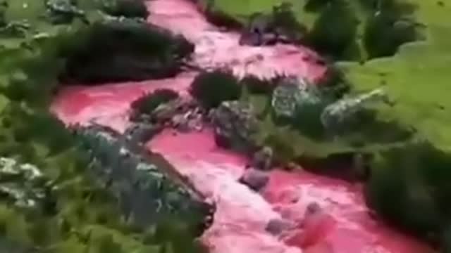 Beautiful sites from various part of the world