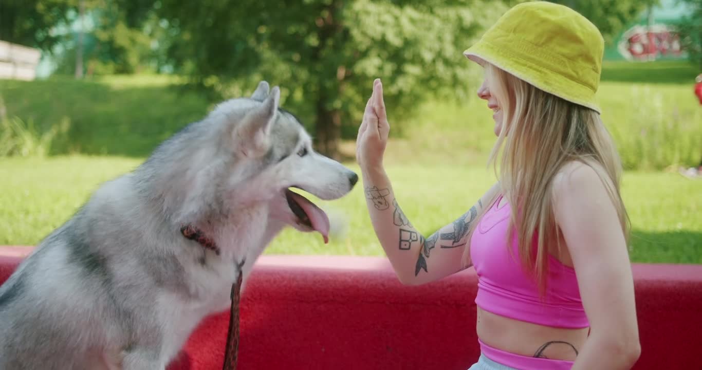 A Woman Training Her Dog at the Park