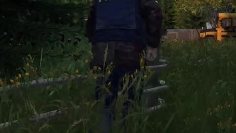 Getting Burlap In DayZ