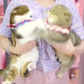 Sweetest fight ever 🤷🏻‍♀️