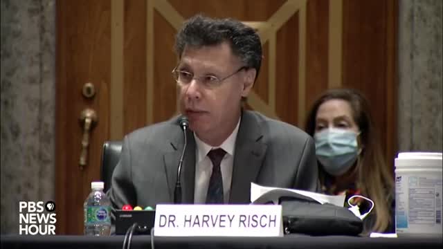 Dr. George Fareed (Harvard Trained Physician on Hydroxychloroquin and Ivermecting))