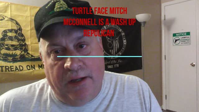 Turtle Face Mitch McConnell