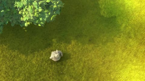 funny bunny carton | funny carton | big buck bunny |