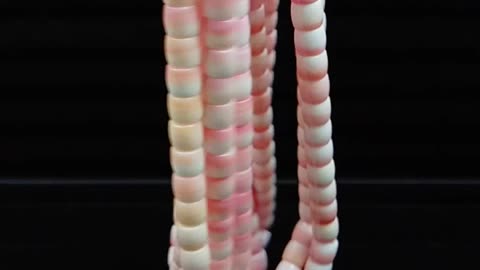 Pink opal and conch 6mm barrel roundle deads gemstone as gift DIY Natural Conch Shell Smooth