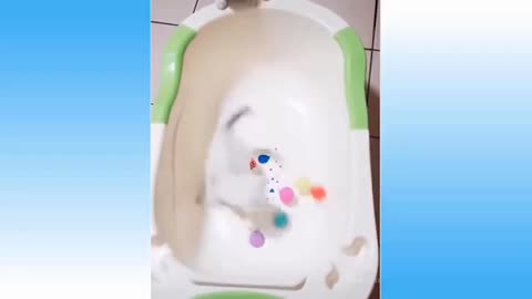 animals funny - moments