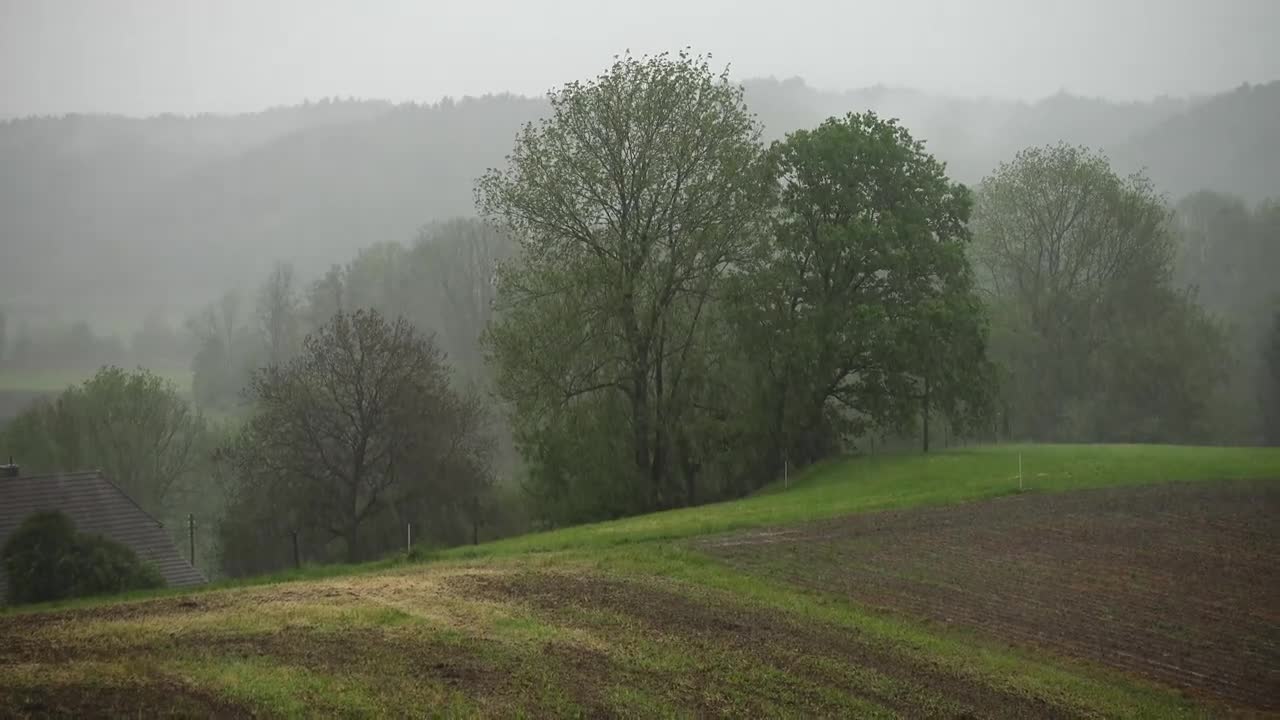 Sleep with Heavy Rain Sounds and Music Covering the Rain forest Park I Deep Sleep Music