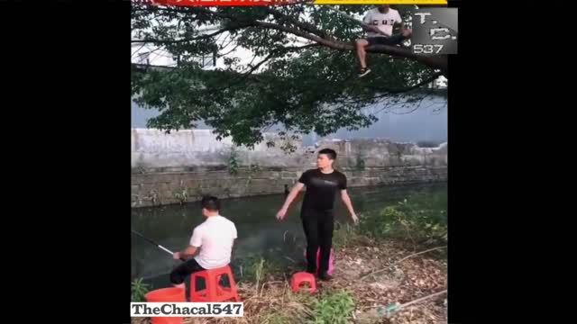 Very Funny Asians - Try Not To Laugh - # 02