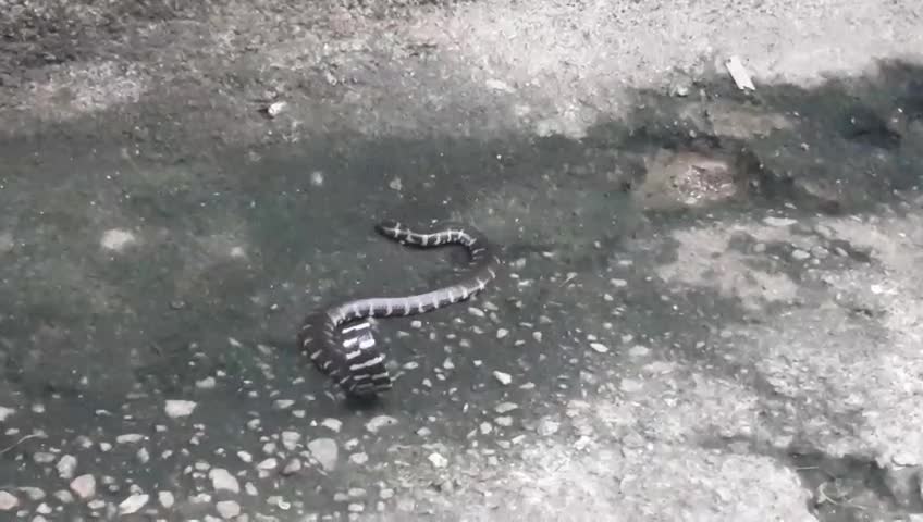 Danger is lurking around your home