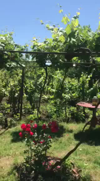 The Village in Georgia. Imereti