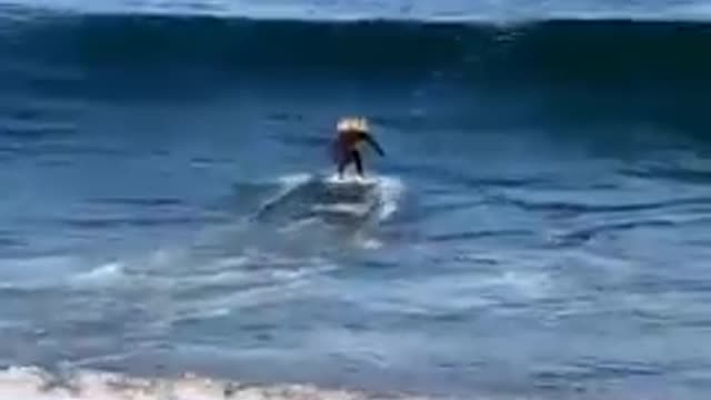 Sea Surfing mishap