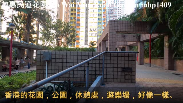 [傾斜的花園] 堅尼地城。加惠民道花園 Ka Wai Man Road Garden, mhp1409, May 2021 #加惠民道花園 #Ka_Wai_Man_Road_Garden