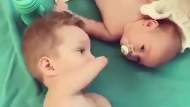 How can it be so cute