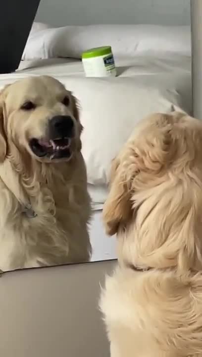 Practicing angry faces