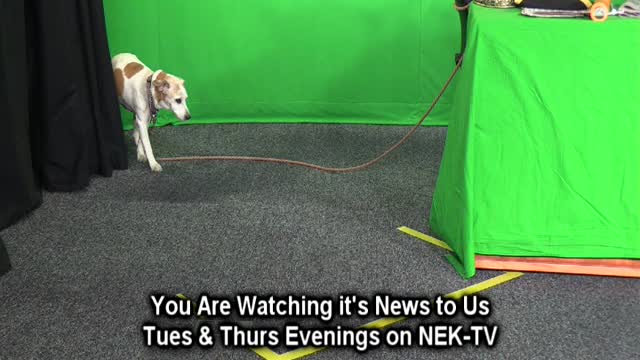 It's News to Us April 27, 2022