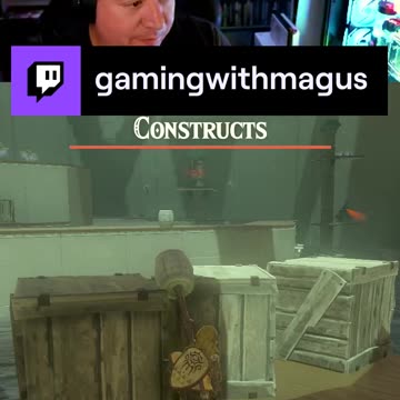 You can't see me! | Legend of Zelda: Tears of the Kingdom | game play | episode 33