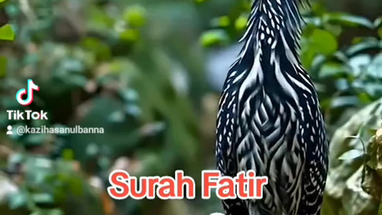 Sura fathir