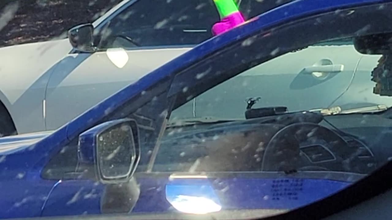 An Adult Unicorn In The Wild