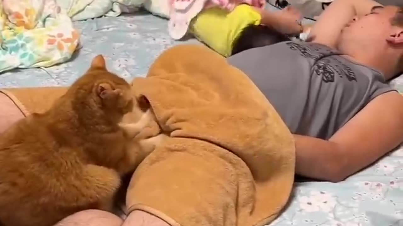 Extremely funny animals, Funny animals Hub, animals funny , cool funny animals , funny animals life