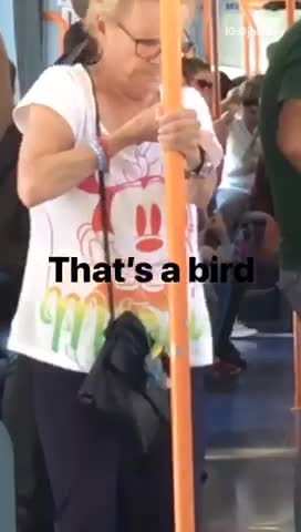 Woman in white bird in mouth