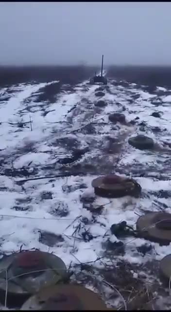 Here one more robot goes for the mission