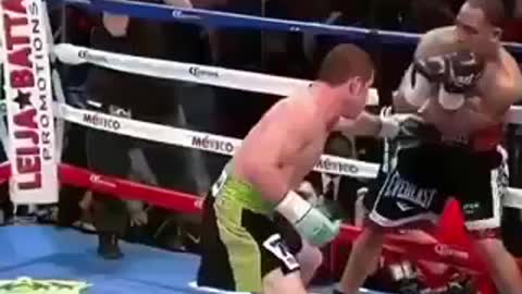 Canelo Alvarez brutal knockout fight
