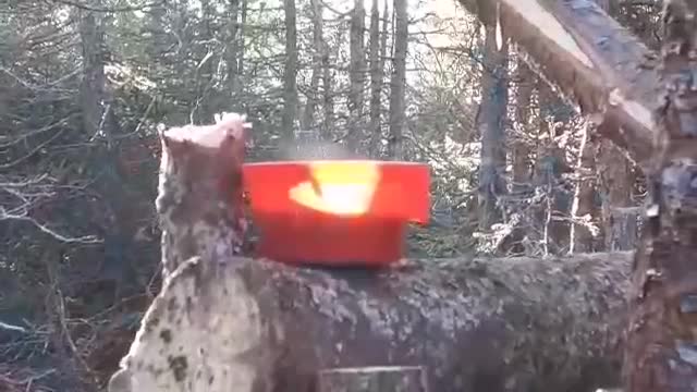 Sunset Illuminates Coffee Cup