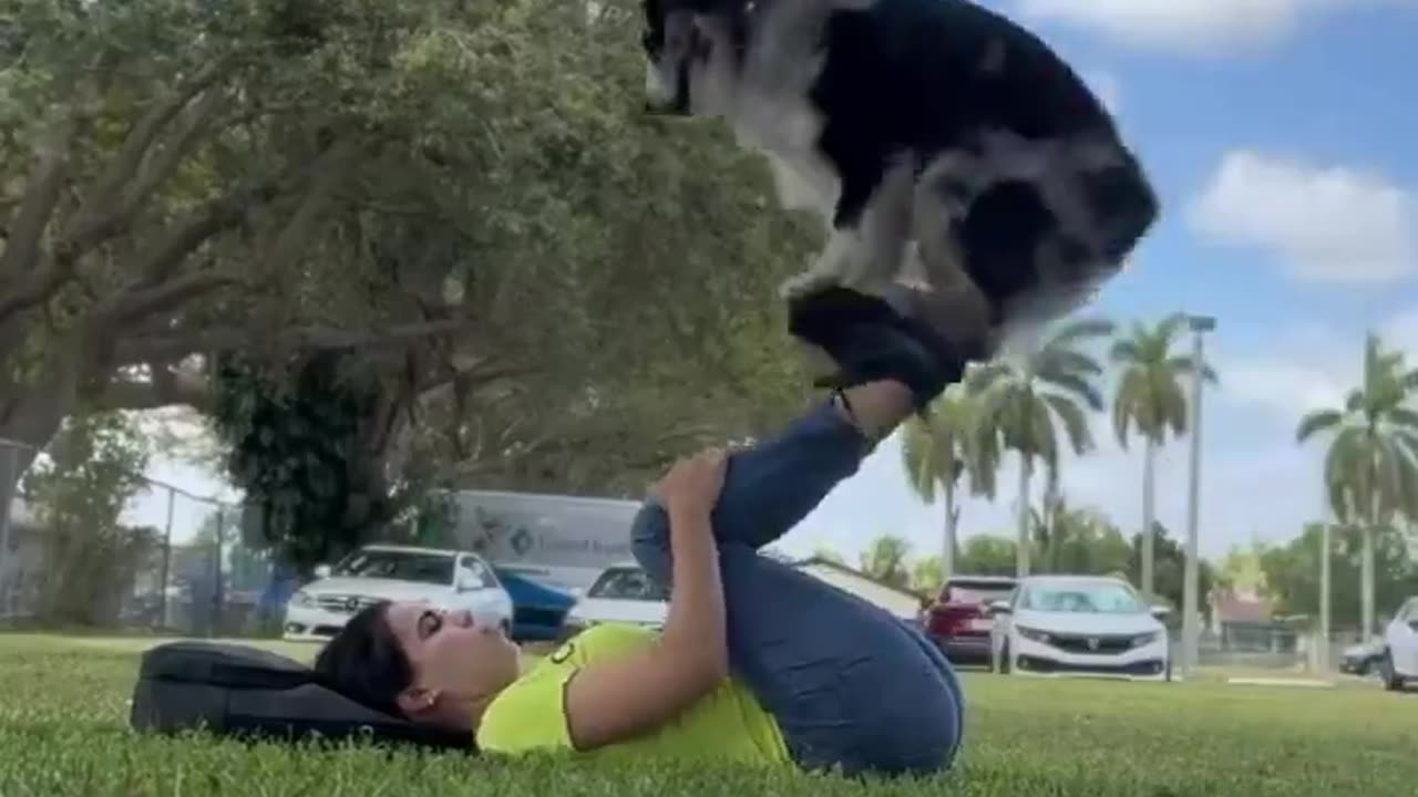 Funny Animals