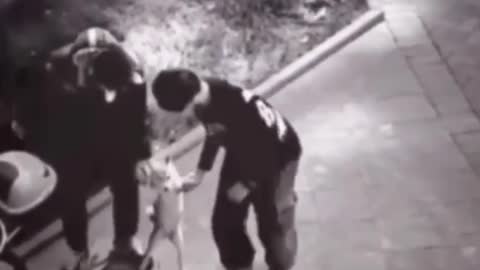 Funny video collection!!!!!!!!!!!!