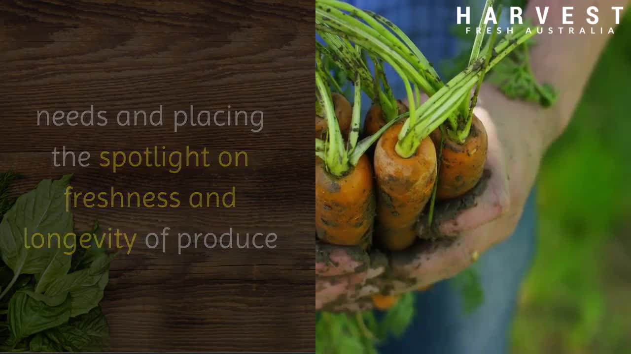 Fruit And Vegetable Wholesalers Sydney|harvestfresh.com.au|call us -(02) 9746 6503