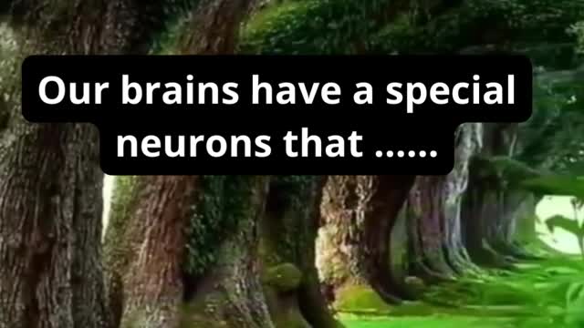 Mind Blowing Psychology Fact | #shorts | #psychology