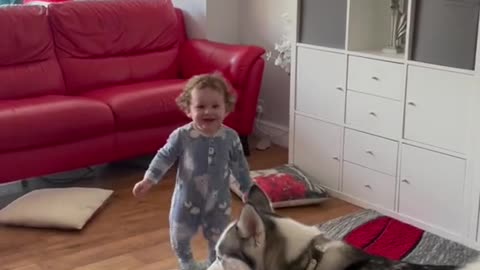 baby dede playing with the dog, so cute