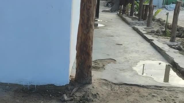 Jak się żyje na Zanzibarze #14 - zanzibarska restauracja