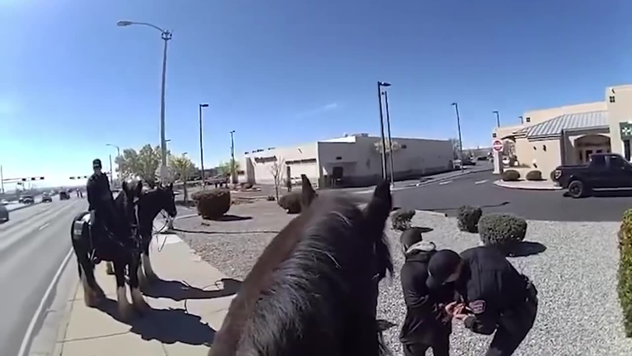 Watch: Shoplifter pursued by police mounted unit in New Mexico.