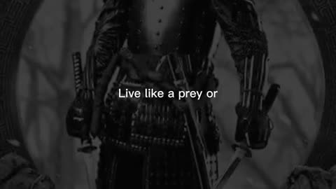 Are You The Prey Or The Hunter?