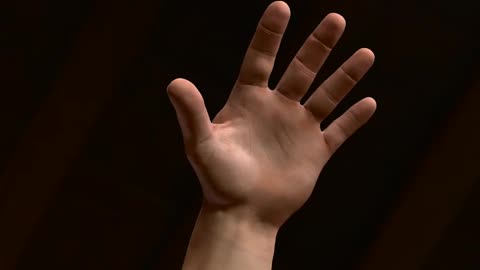 3d model male hand