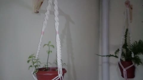 macrame vase holder