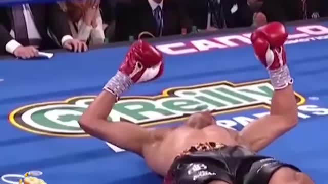 NOCAUTE MAIS VIOLENTO DE CANELO