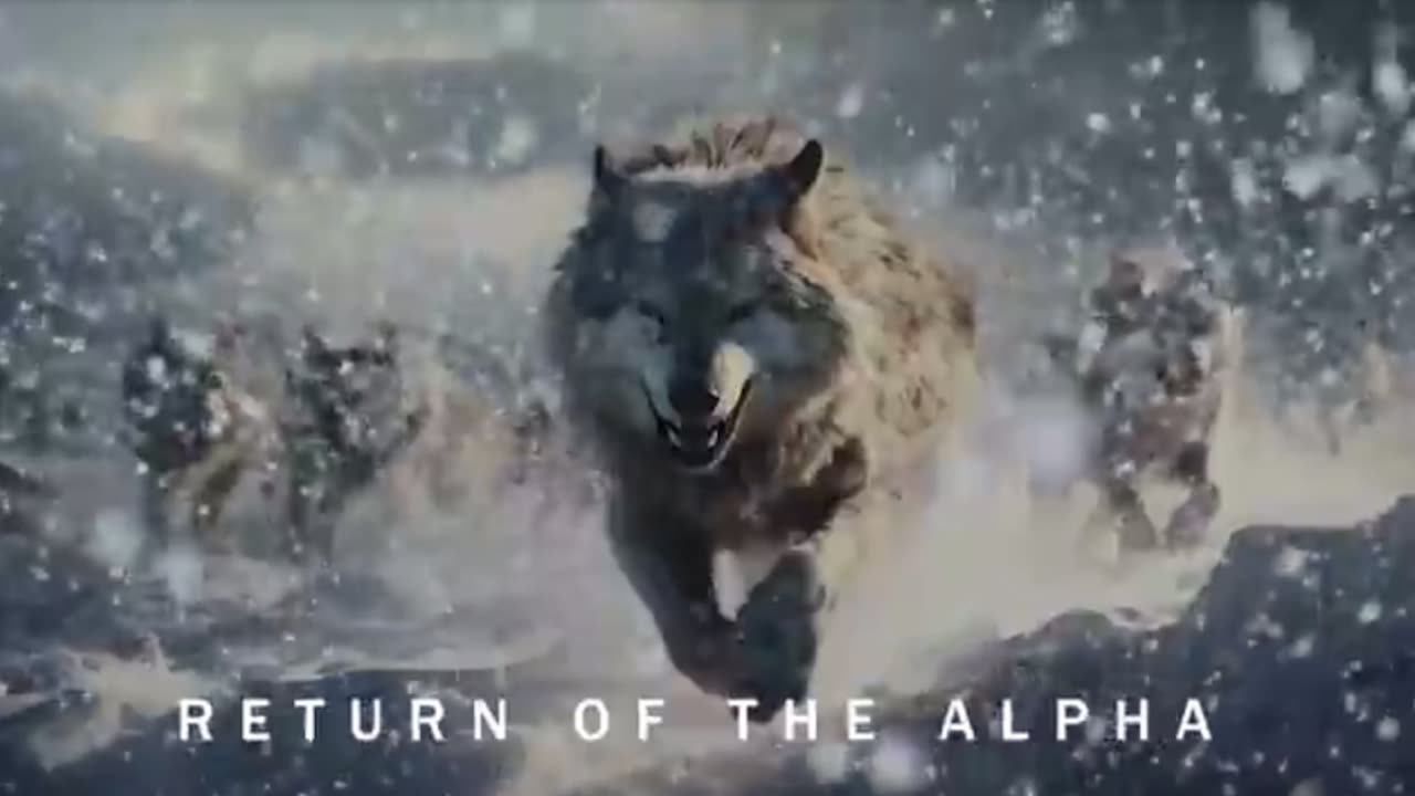 Return of the Alpha | Majestic and Powerful Orchestra | Epic Music