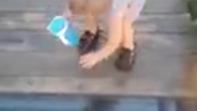 Toddler Attempts to Cross onto glass bridge