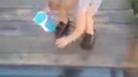 Toddler Attempts to Cross onto glass bridge