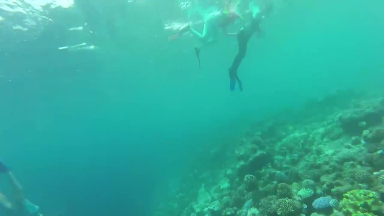 Snorkeling in Maldives